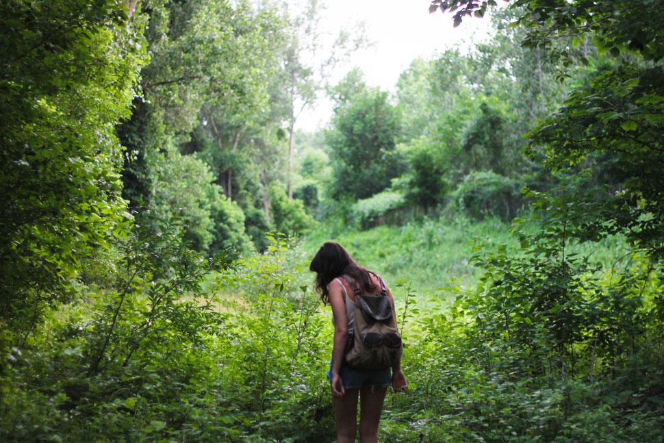 Harnessing the Healing Power of Nature in Dual Diagnosis Treatment