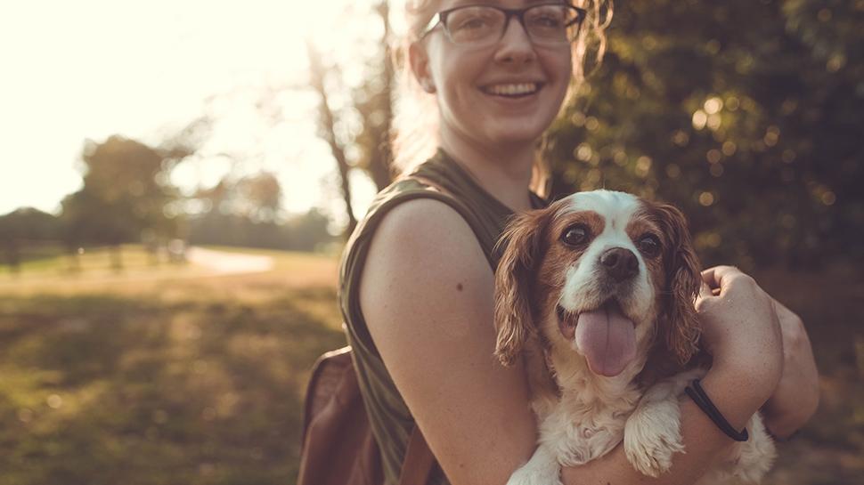 pet friendly alcohol and drug rehab center california