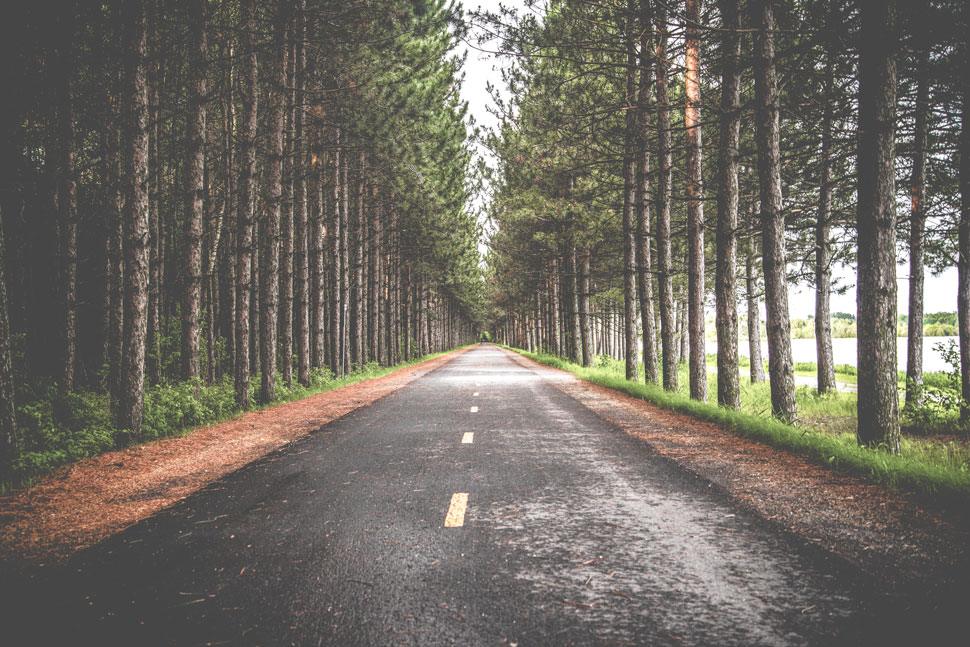 The-Long-Road-Home-Alcohol-Addiction-and-PTSD-Treatment